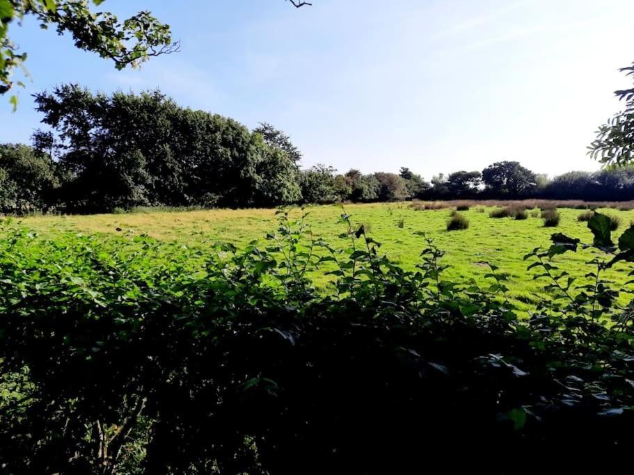 Rhos Y Bel Cottage Angelsey Llangadwaladr  ภายนอก รูปภาพ