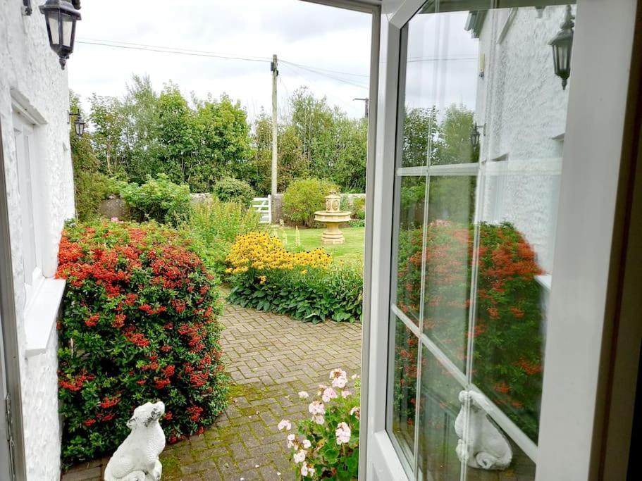 Rhos Y Bel Cottage Angelsey Llangadwaladr  ภายนอก รูปภาพ