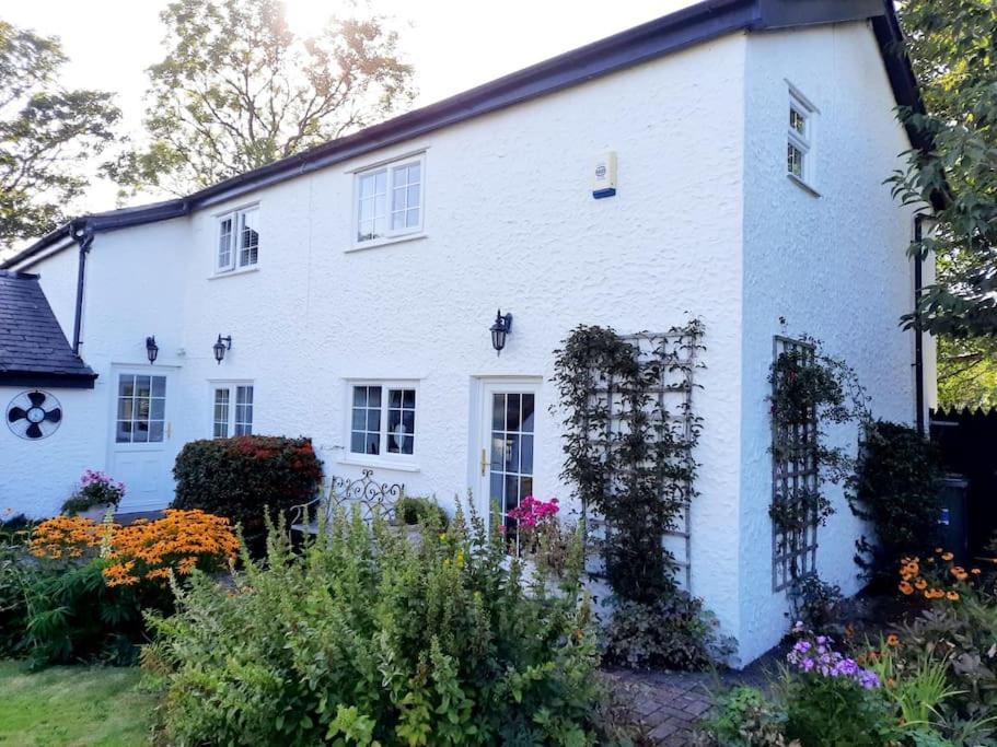 Rhos Y Bel Cottage Angelsey Llangadwaladr  ภายนอก รูปภาพ